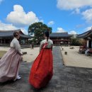 바글바글제주 이미지