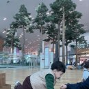 [학습多방]카페디저트 마스터:인기 메뉴 따라 | 돌아기와 함께하는 상하이 여행 | ①
