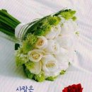 박*하 - 안양시 동안구 관평로138번길 | 박*하