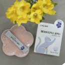 메타플렉스 | [서포터즈] 🐱 고양이 장건강, 이거 하나로 해결! 차오르 메타바이오틱스 플렉스 솔직 후기 🐾