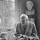 아마의 맹점 이미지