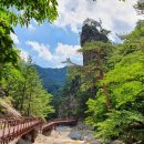 소금강상가앞 화장실 이미지