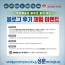 애니몰로