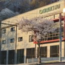 대성메디케어 이미지