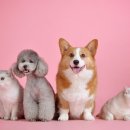 탑건강약국 이미지