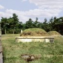 진주 정신중 묘역 이미지