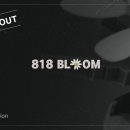 818 이미지