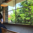 종로-종로-종로-종-224 | 찜통 속 만두가 된 기분