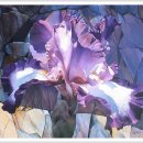 유화 아크릴 B 이미지