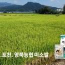 영북농업협동조합 이미지