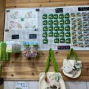 자석목장 이미지