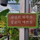초록나라식물원 이미지
