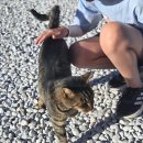 고대셀프주유소 개방화장실 | [250911] Ephesus : 이토록 잘 보존된 고대도시라니! (feat.고양이)