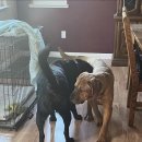 포동이농장 이미지