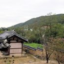 아라마 Daum카페