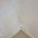 세븐빌 | 해운대더샵센텀그린 아파트 깨끗하게 이사청소 했어요~!