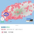 빌레뱅디 | 제주 한경면 맛집 빌레뱅디 후기