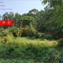 불은면-3 이미지