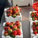 원희농장 이미지