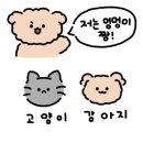 강아지 VS 고양이 이미지