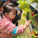 은별농장 이미지