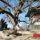 미암1리 이미지