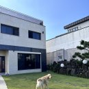 제주서쪽 독채 가족숙소 추천 &#39;월령이드레&#39; (내돈내산)