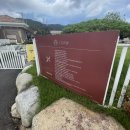 안평로 | 기장 애견카페 일로우 강아지 뛰어놀기 너무 좋아요