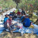 김기수농장 이미지