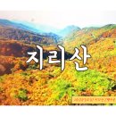 10/27(일요일) 가을단풍의 명소~ 지리산 [뱀사골 신선길] & [와운마을 천년송] 오색물결 ♡인생단풍♡ 힐링트래킹 이미지