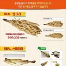 티앤에프 이미지
