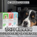 앤드퍼피 | 퍼피 강아지영양제 프롬더셀 하늘색 대형견 종합영양제
