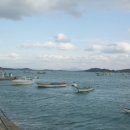 화원 별암리 Daum카페