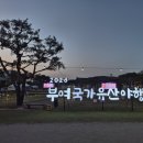 부여(사비)-17 | 부여 국가유산 야행 2026 정림사지 마지막 날 생생 후기 (금동이 득템)