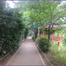 올레길 도심형 1코스 이미지