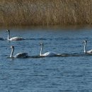 시화호수로3 이미지