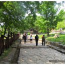 용문산 관광지 이미지