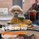 아트박스광교앨리웨이점 | 위커파크 광교 애견동반 브런치 할인 및 주차, 메뉴 내돈내산 후기