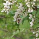 내당노인복지관 이미지