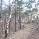 구례주유소 Daum카페