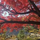 관풍루(觀風樓) | 晩秋:늦은 가을 🍂 즐기다_ 2편(석파정, 서울미술관)