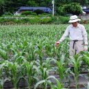 광전1리 이미지