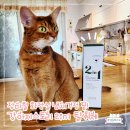 고양이 화장실 냄새 걱정 끝!! 강아지스토리 2in1 펫 탈취제 솔직 체험 후기
