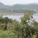 대장금마실길(4코스) 이미지