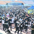 20251116-제25회 창원통일마라톤대회ㅡ창원종합운동장 이미지