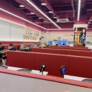 진베리코 이미지