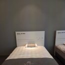 로얄맴버스 | [신혼침대] 에이스 침대 구매 후기 / 로얄 90s 킹 + 루체3프레임 / 가격공유