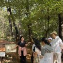 풍경어린이집 | 공동육아 발도르프 어린이집 부모 소모임 &#39;서독산 산행&#39; 후기