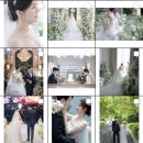 W3. 최진웅스냅(대표촬영) - 본식스냅 계약 후기