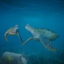 남은약국 이미지